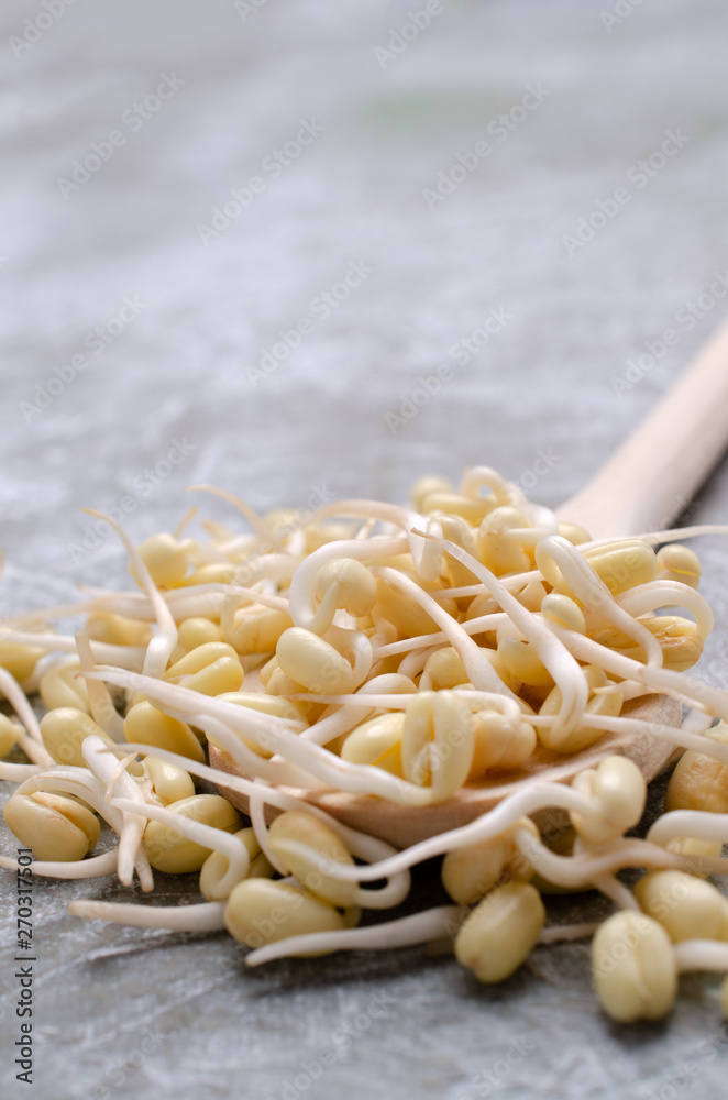 Fresh sprouts of bean seeds. Fresh sprouts of bean seeds.