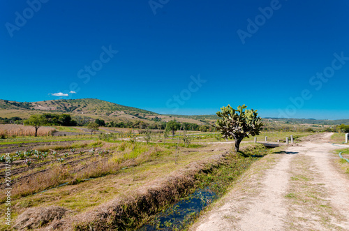 Paisaje de Jalisco