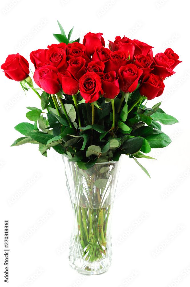 red roses in vase isolated on white background