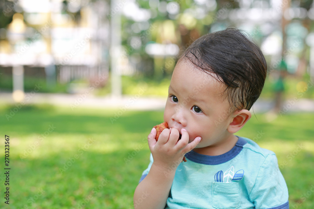 Asian baby boy enjoy eating fried chicken in the green garden outdoor. Asian baby boy enjoy eating fried chicken in the green garden outdoor.
