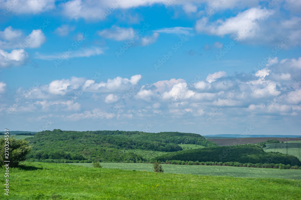 Plowed and sown field