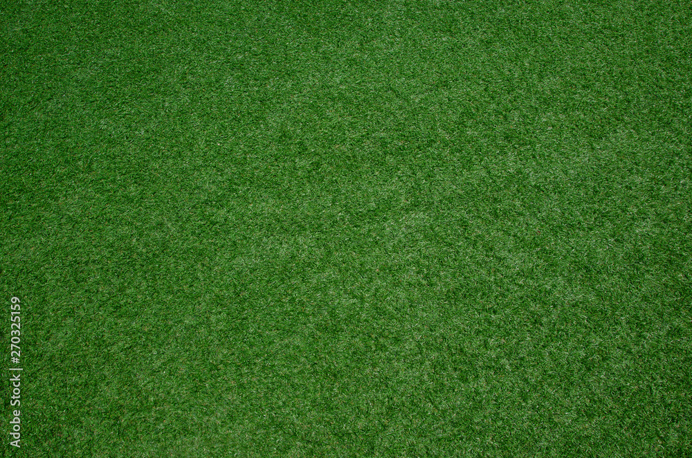 Fototapeta fresh green grass texture background