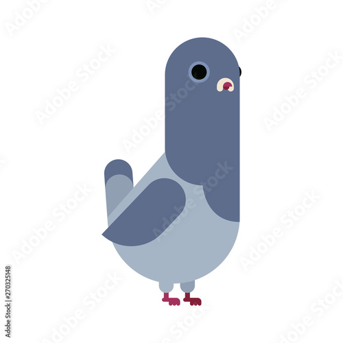 Dove isolated. pigeon cartoon. City bird vector illustration.