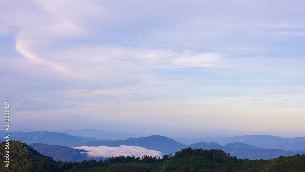 Natural scenery of tropical forests Natural scenery of tropical forests