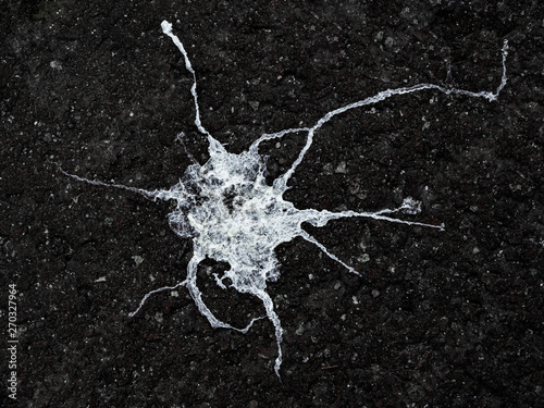 Photos Bird shit on asphalt