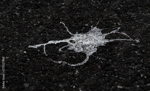 Cuadro en lienzo Bird shit on asphalt