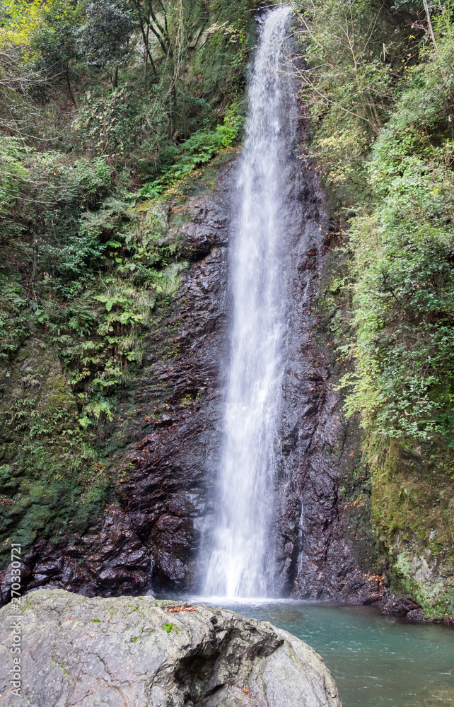 Obraz premium Waterfall of Yoro at autumn time. Japan