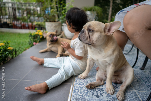 French bulldog is sitting down with little girl outdoor.
