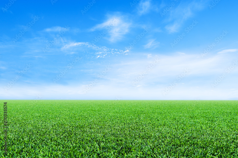  field and bright blue sky .