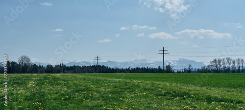 panorama mit grüner Wiese und Allgäuer Berge