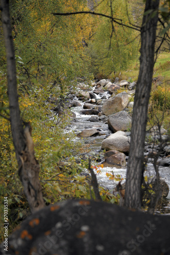Autumn view of a small mountain river