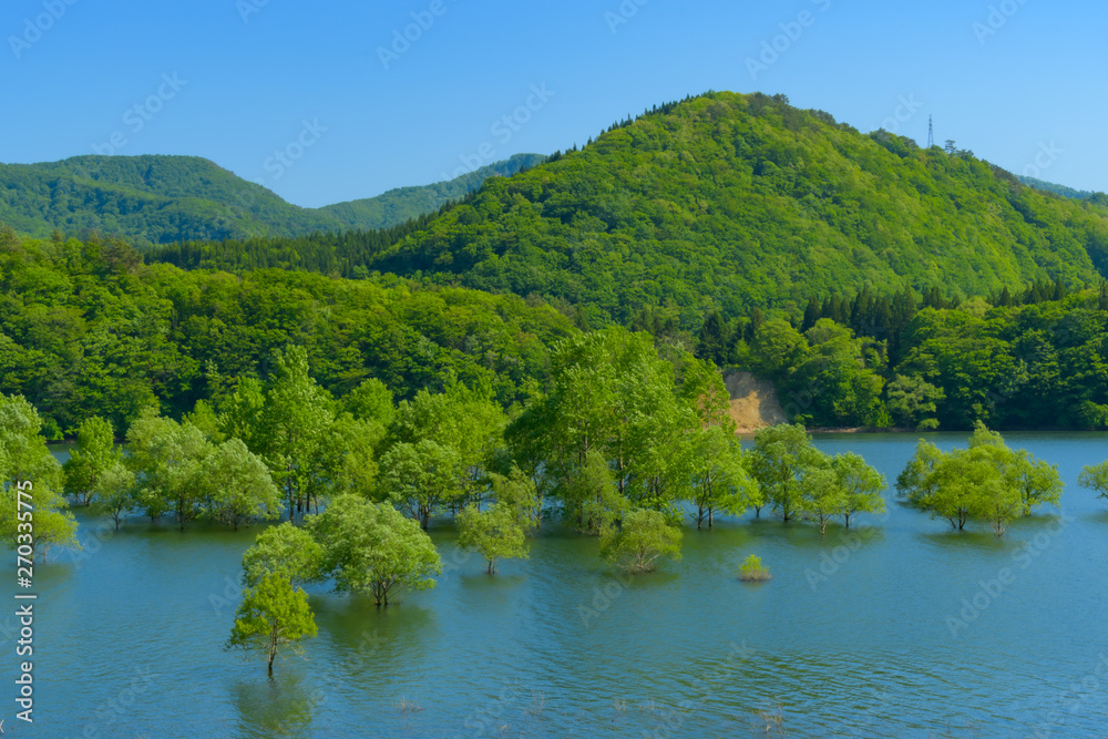 新緑の錦秋湖(岩手県) Kinshuko in Iwate Japan