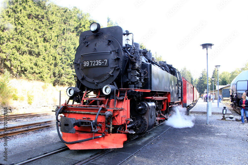 Obraz premium Brocken railroad, Harz Narrow Gauge Railway, Harz, Germany, Europe