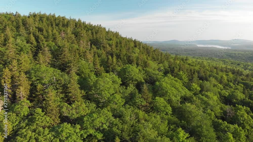 Aerial drone shot of a forest in Maine United States of America