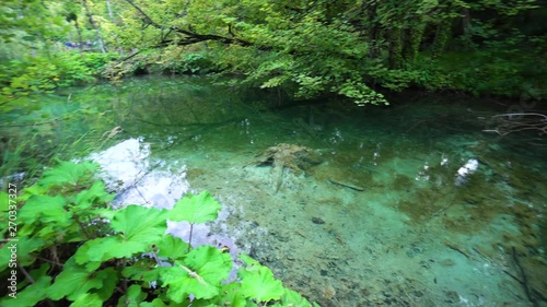 Wallpaper Mural A small lake in Plitvice National Park Central Croatia Torontodigital.ca