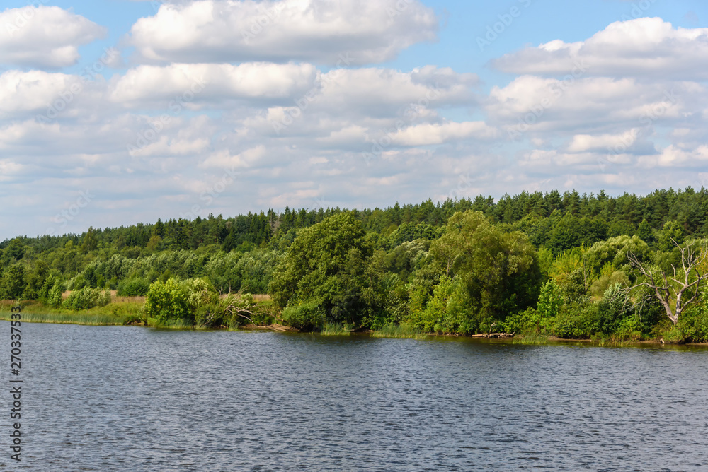 Trees by the river. Natural landscape on a summer day. Trees by the river. Natural landscape on a summer day.