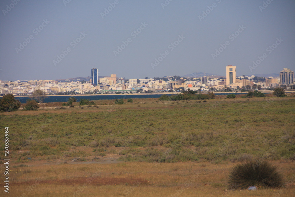 vue sur Tunis