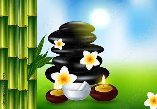 Spa still life with frangipani flower, vector Eps10 illustration