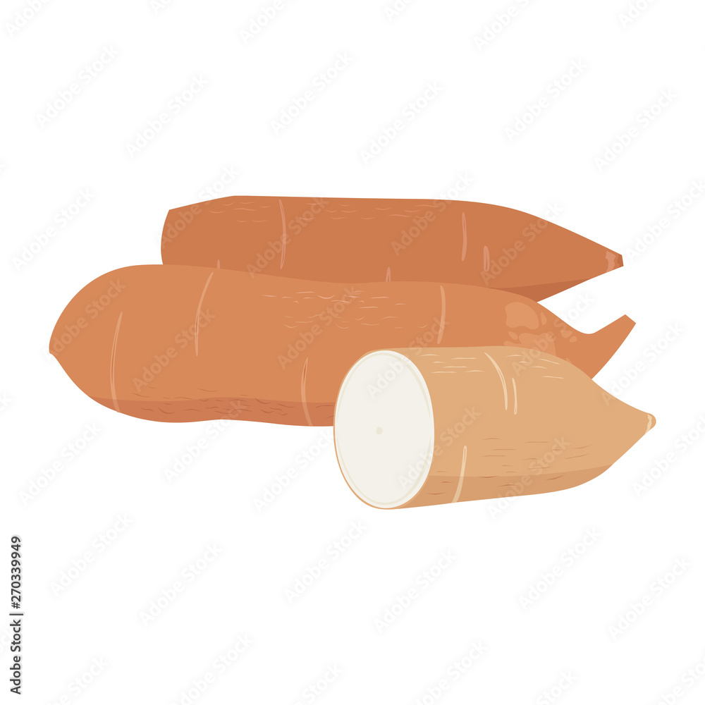 キャッサバのイラスト タピオカの原料になるキャッサバという南米の芋 Stock Vector Adobe Stock キャッサバのイラスト タピオカの原料になるキャッサバという南米の芋 Stock Vector Adobe Stock
