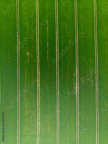 Green field view from above drone photo