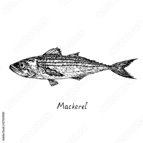 Mackerel with inscription, hand drawn doodle sketch, isolated vector outline illustration