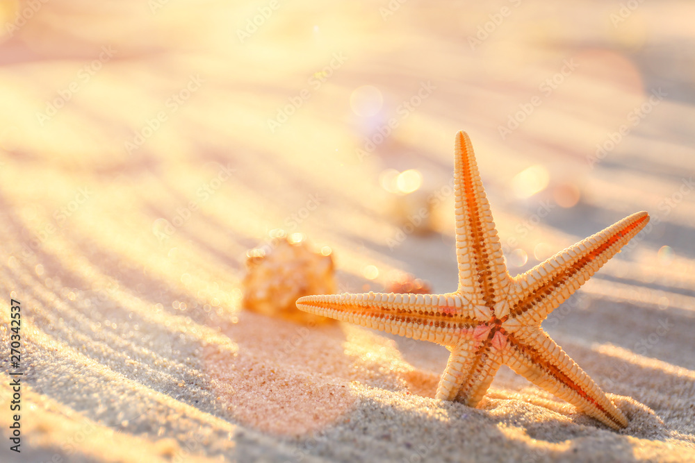 Beautiful starfish on beach sand, closeup Beautiful starfish on beach sand, closeup