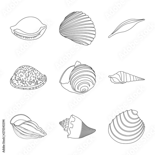 Vector design of exotic and seafood symbol. Set of exotic and aquatic stock symbol for web.