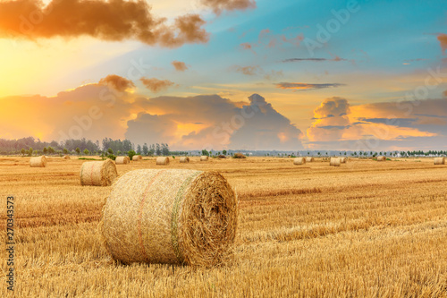 Round straw bales on farmland
