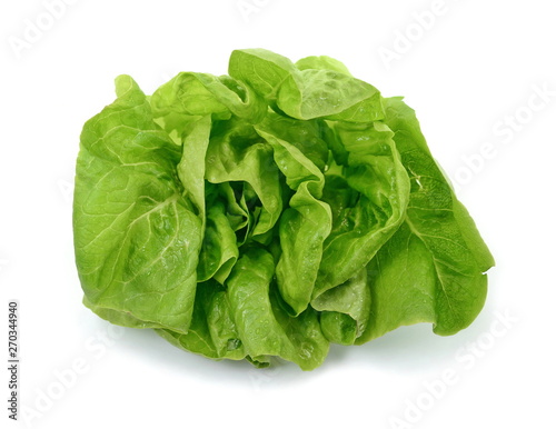 Fresh green salad isolated on white background. Food background with drops of water. Fresh butterhead salad. Green butter lettuce vegetable or salad on white surface. 