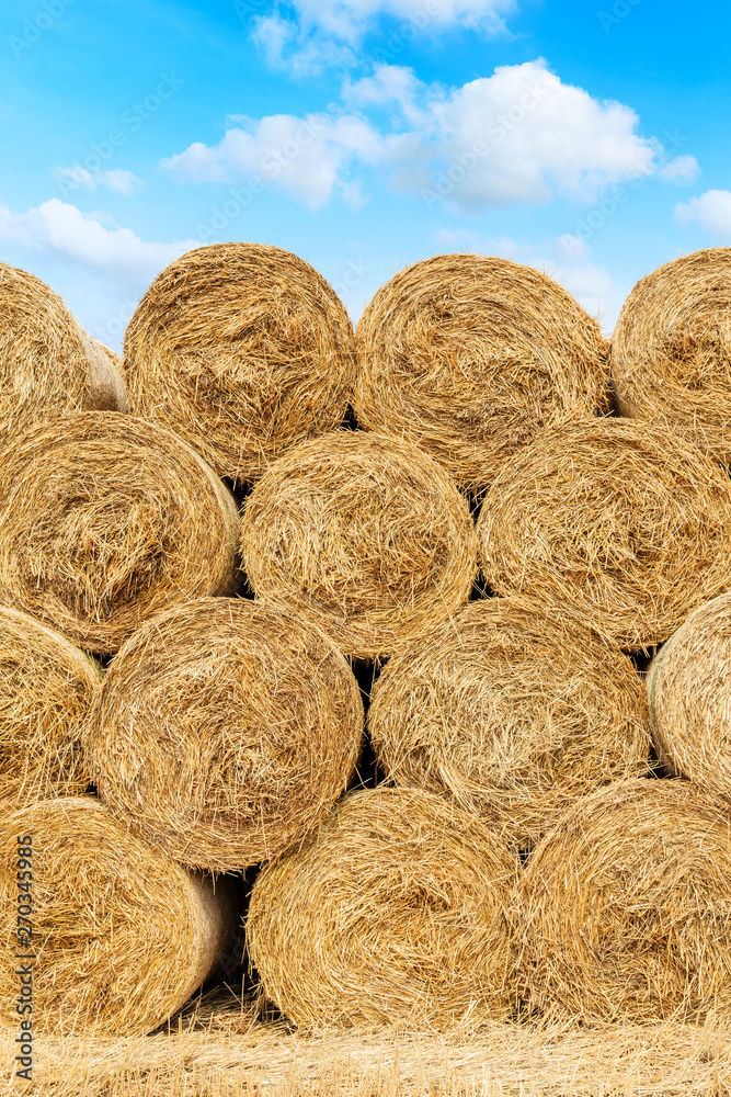 Straw bales on farmland with blue cloudy sky Straw bales on farmland with blue cloudy sky