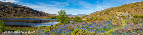 Capel Curig  Snowdonia  Wales