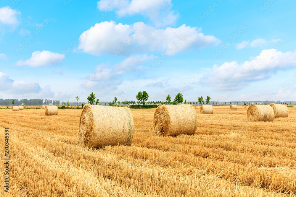 Straw bales on farmland with blue cloudy sky