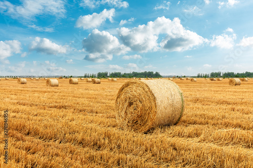 Straw bales on farmland with blue cloudy sky