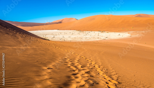 Red sand dunes in Deadvlei, Sossusvlei, Namib-Naukluft National Park, Namibia