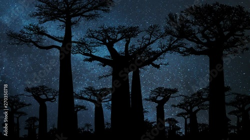 Baobab Trees Forest by Night with Stars and Milky Way: the Famous Avenue of the Baobabs in Madagascar, Africa