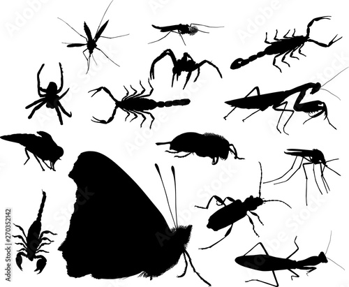 collection of fourteen black insects © Alexander Potapov