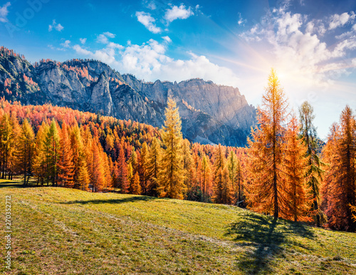 Gorgeous sunny view of Dolomite Alps with yellow larch trees. Colorful autumn scene of Ponta dei Lastoi mountain range. Giau pass location, Italy, Europe. Beauty of nature concept background. photo