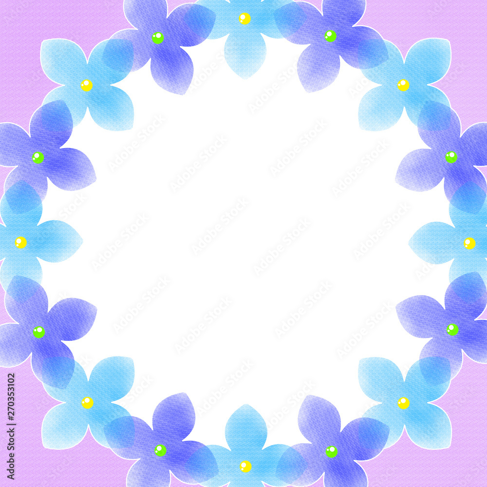 Fototapeta premium 紫陽花