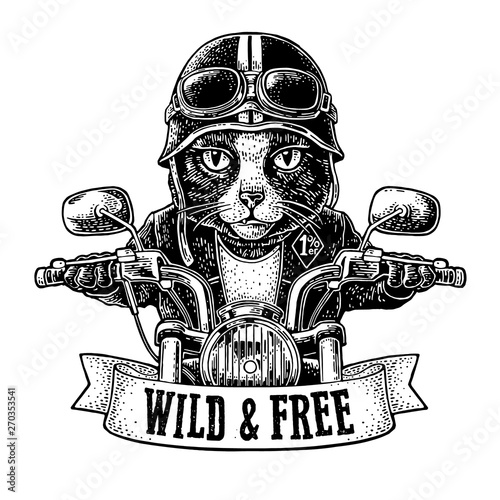 Cat driving a motorcycle rides. Vector vintage engraving