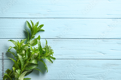 Fresh green mint on color wooden background