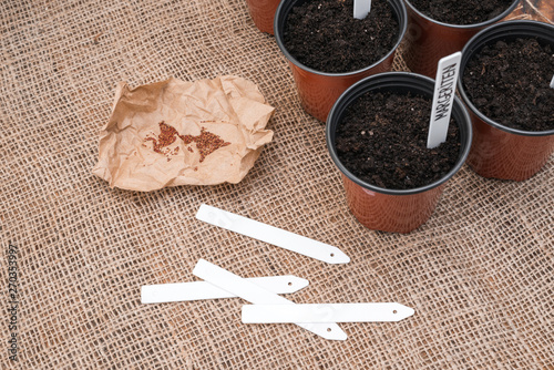 Brown pots with black soil, white labels and seeds of plants on sackcloth background. photo