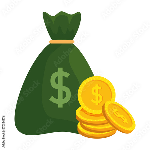 money bag with coins dollars