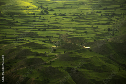 Green landscape with mountain fields