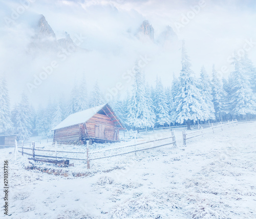 Frosty winter morning in Carpathian mountains with snow covered fir trees. Bright outdoor scene, Happy New Year celebration concept. Beauty of nature concept background.