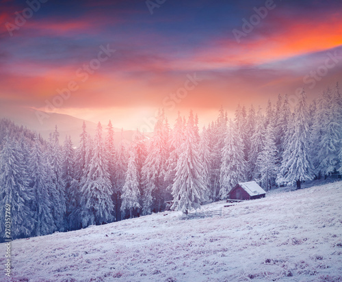 Misty winter sunrise in mountain farm with snow covered fir trees. Colorful outdoor scene, Happy New Year celebration concept. Artistic style post processed photo.