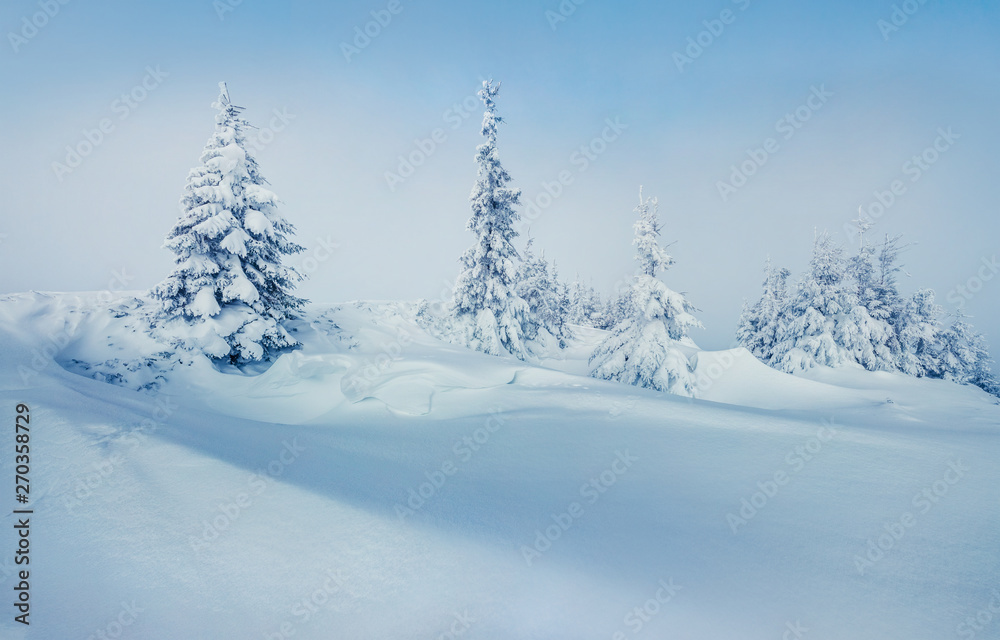 Splendid winter view of Carpathian mountains with snow covered fir trees. Colorful outdoor scene, Happy New Year celebration concept. Artistic style post processed photo.