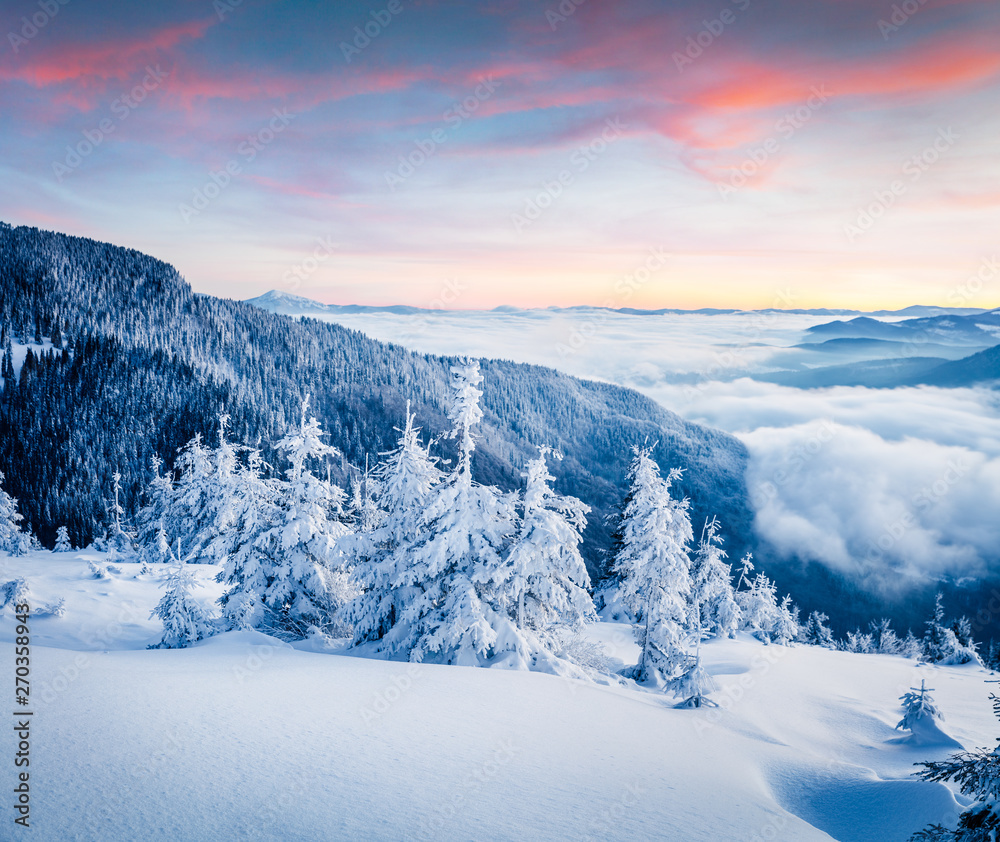 Obraz premium Bright winter morning in Carpathian mountains with snow covered fir trees. Colorful outdoor scene, Happy New Year celebration concept. Artistic style post processed photo.
