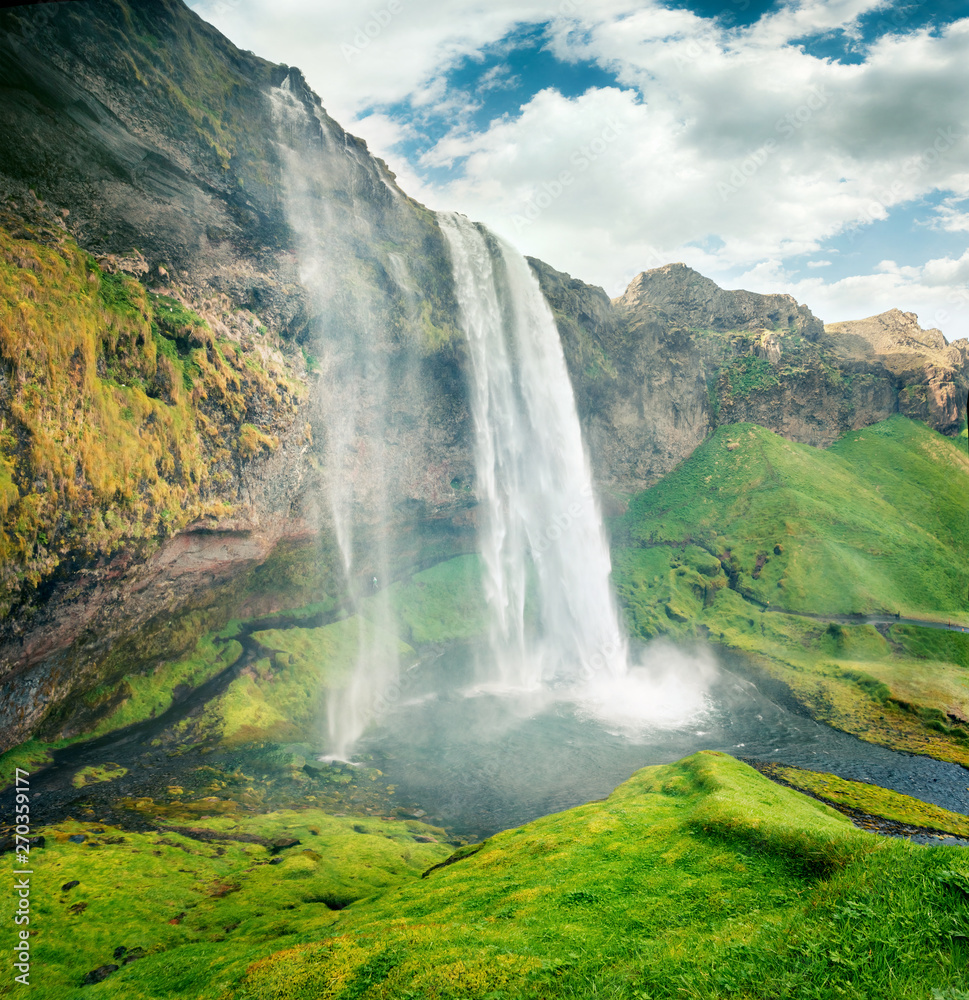 Fototapeta premium Fantastic morning view of Seljalandfoss Waterfall on Seljalandsa river in summer