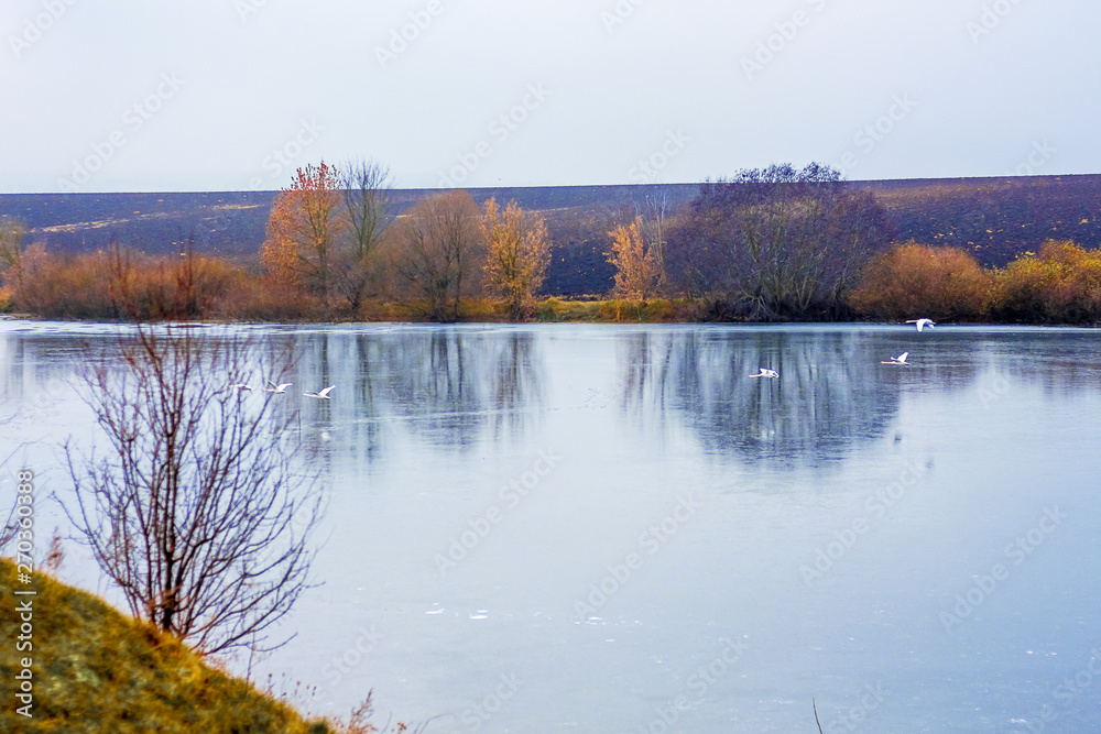 Over the river with clear water fly geese, the autumn landscape_ Over the river with clear water fly geese, the autumn landscape_