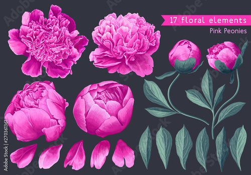 Set of floral elements with pink peonies flowers and leaves. Hand drawn, vector botanical flora for decoration, wedding invitation, patterns, wallpapers, fabric, wrapping paper. Realistic style.